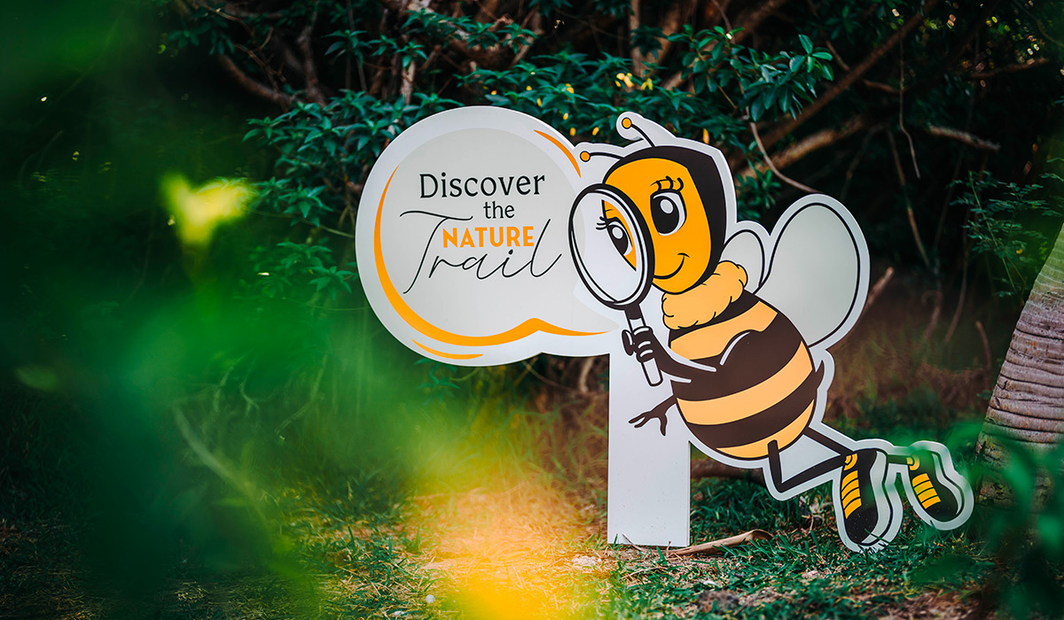 Au “Long Beach”, un sentier nature révèle les trésors de la biodiversité insulaire